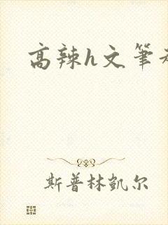 高辣h文笔趣阁