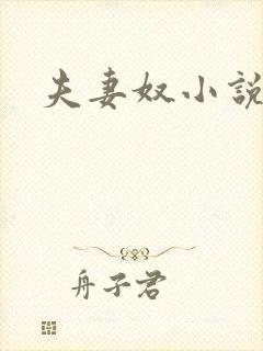 夫妻奴小说