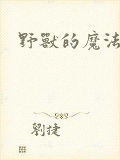 野兽的魔法师