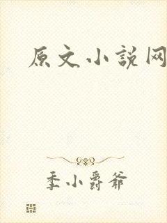 原文小说网
