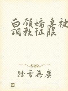 白领娇妻被老板调教征服封面