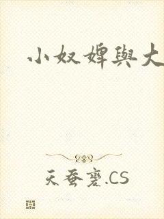 小奴婢与大少爷