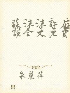 苏沫沫许庭川小说全文免费阅读封面
