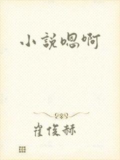 小说嗯啊封面