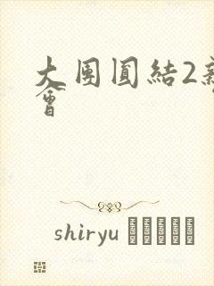 大团圆结2亲情会
