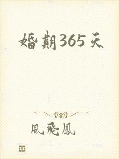 婚期365天封面
