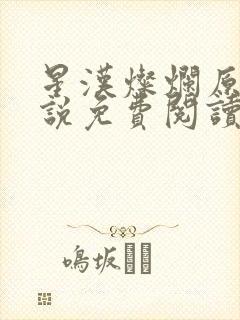 星汉灿烂原著小说免费阅读