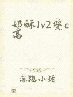 奶酥1v2双c高