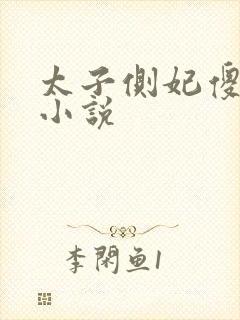 太子侧妃傻乎乎小说封面