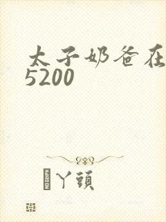 太子奶爸在花都5200封面
