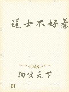 道士不好惹小说封面