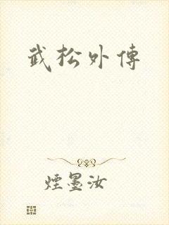 武松外传封面