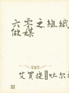 六零之组织给我做媒