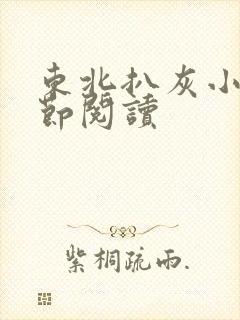 东北扒灰小说分节阅读