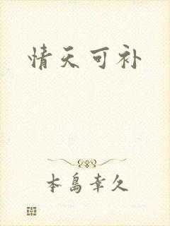 情天可补
