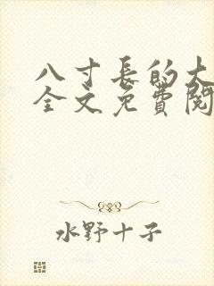 八寸长的大宝贝全文免费阅读