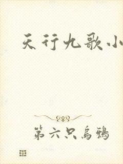 天行九歌小说