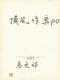 顶风作案po封面