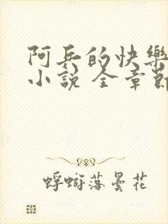 阿兵的快乐生活小说 全章节阅读免费封面