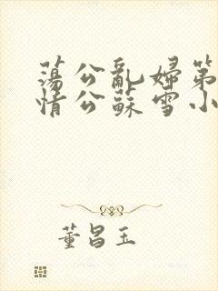 荡公乱妇第1章情公苏雪小说