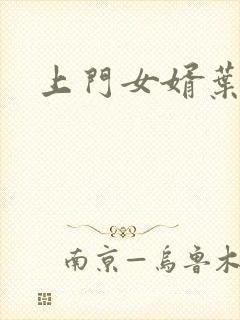 上门女婿叶辰封面