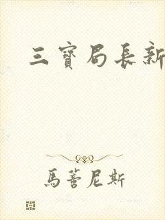 三宝局长新编