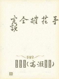 完全摧花手册小说封面