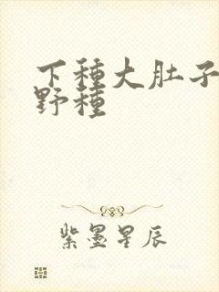 下种大肚子怀孕野种