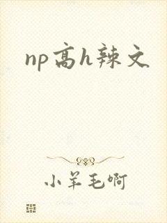 np高h辣文