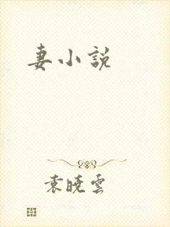 妻小说