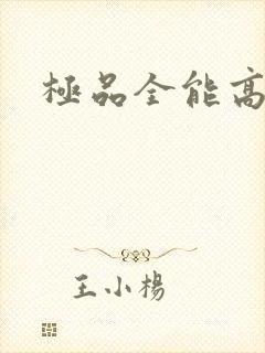 极品全能高手