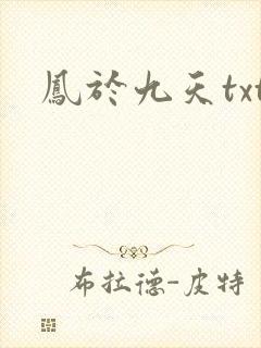 凤于九天txt