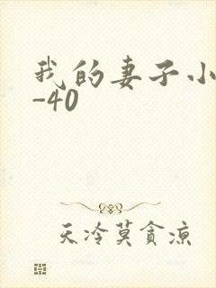 我的妻子小谨1-40