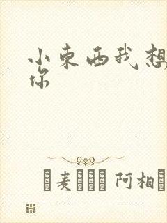 小东西我想弄坏你