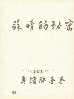 苏晴的秘密小说
