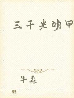 三千光明甲