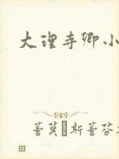 大理寺卿小说