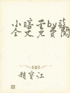小瞎子by苏软全文免费阅读