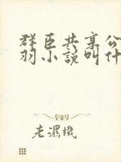 群臣共享公主银羽小说叫什么