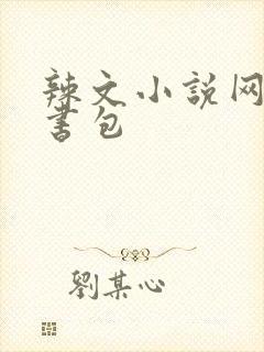 辣文小说网第二书包