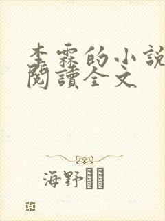 李霖的小说免费阅读全文封面