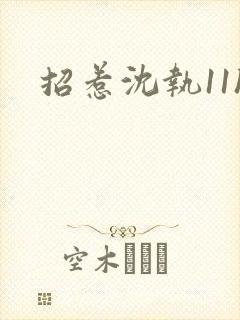 招惹沈执11h封面