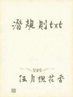 潜规则txt封面