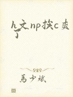 h文np挨c爽了