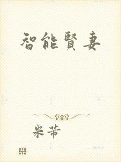 智能贤妻