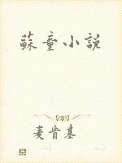 苏童小说
