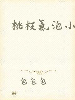 桃枝气泡小说