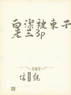 白洁被东子老二老三3p封面