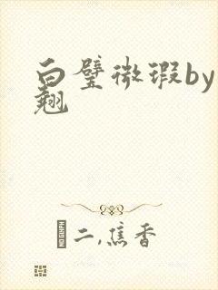 白璧微瑕by连翘