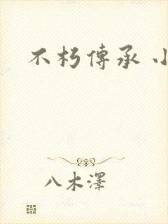 不朽传承 小说